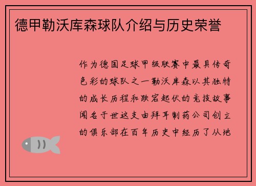 德甲勒沃库森球队介绍与历史荣誉