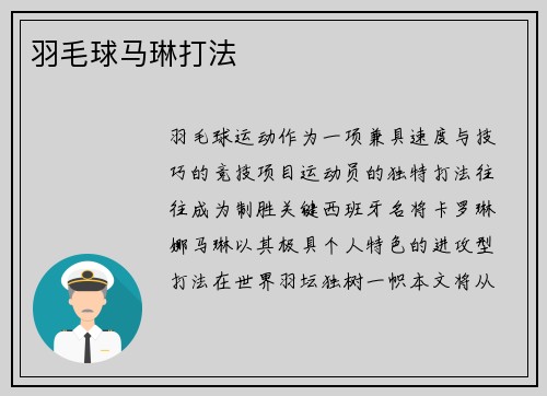 羽毛球马琳打法